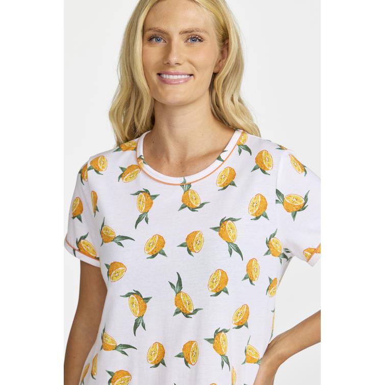 Damella paituli Orange