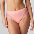 Marie Jo JANE full brief Florida