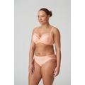 PrimaDonna Twist PLAYA AMOR rio briefs Silky Dreams