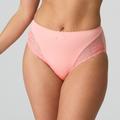 Marie Jo JANE full brief Florida
