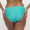 PrimaDonna Swim DELRAY rio bikini brief Sea Turtle