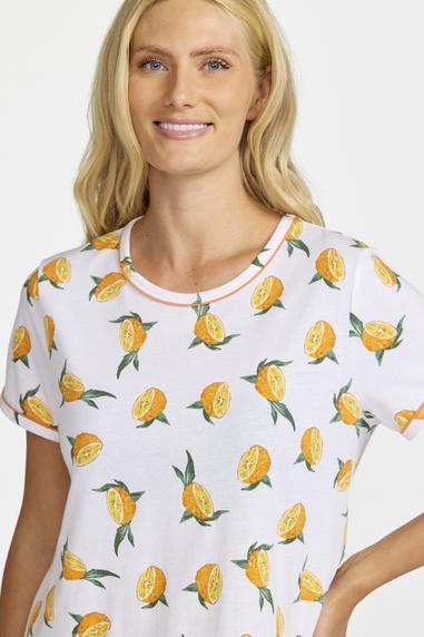 Damella paituli Orange